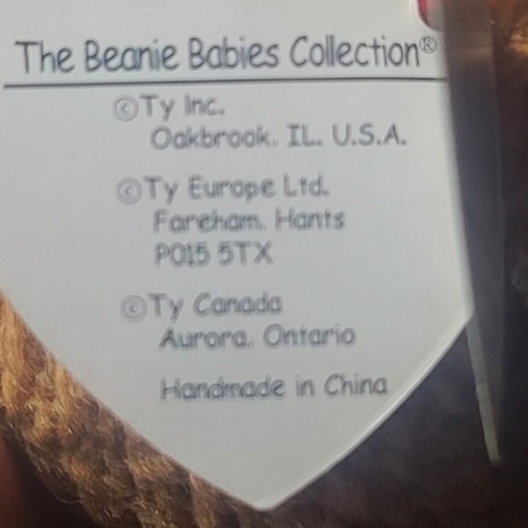 Rare 10 error Curly the bear! - Picture 9 of 11